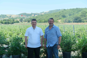 TÜRKİYE’NİN EN BÜYÜK YABAN MERSİNİ ÇİFTLİĞİ ALOVA FARM KÜRESEL PAZARA AÇILIYOR